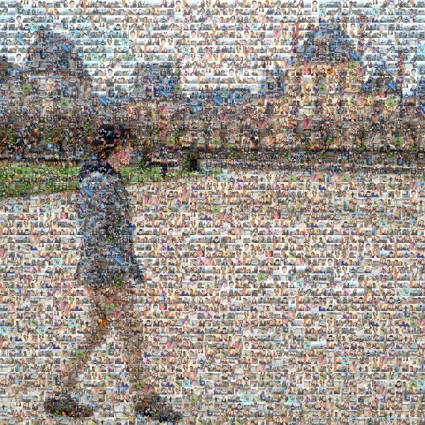 Taking in the View photo mosaic