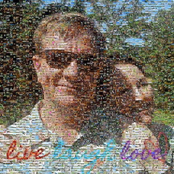 An Adoring Couple photo mosaic