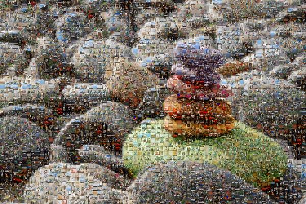 Zen Stones photo mosaic