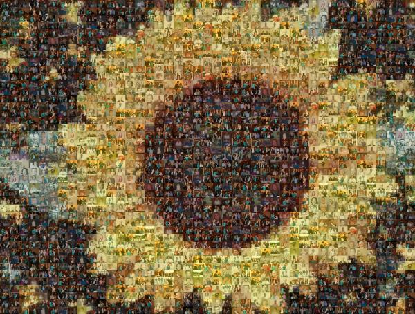 Sunflower photo mosaic