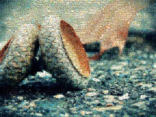 Acorns photo mosaic