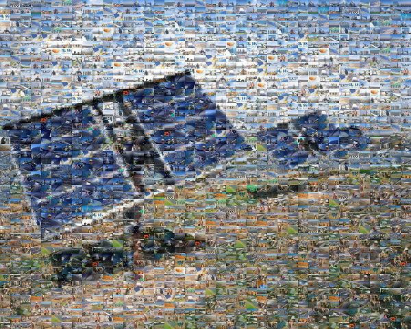 Solar Panels photo mosaic