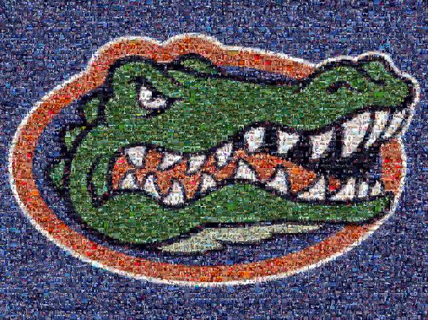Gators photo mosaic