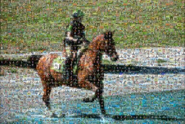 Beautiful Horse & Rider photo mosaic