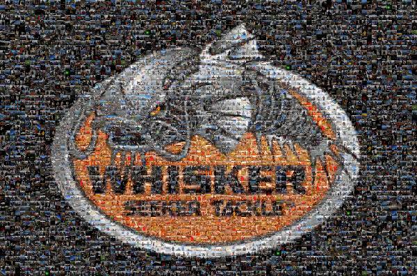Whisker photo mosaic
