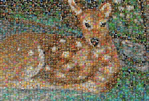 Deer Painting photo mosaic