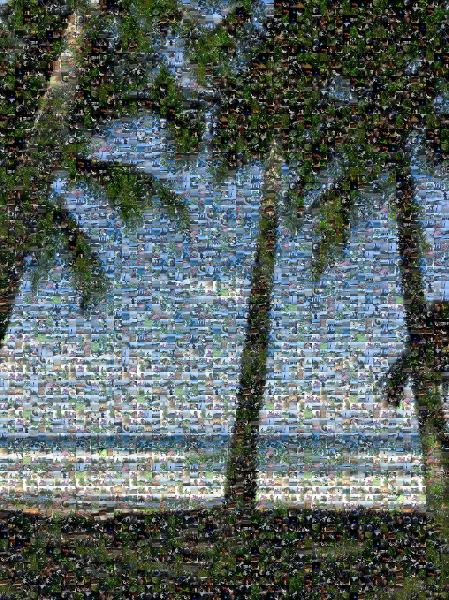 Beach Silhouette photo mosaic