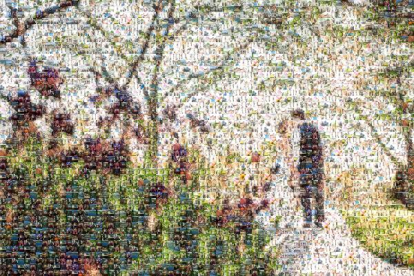 Newlyweds in the Distance photo mosaic