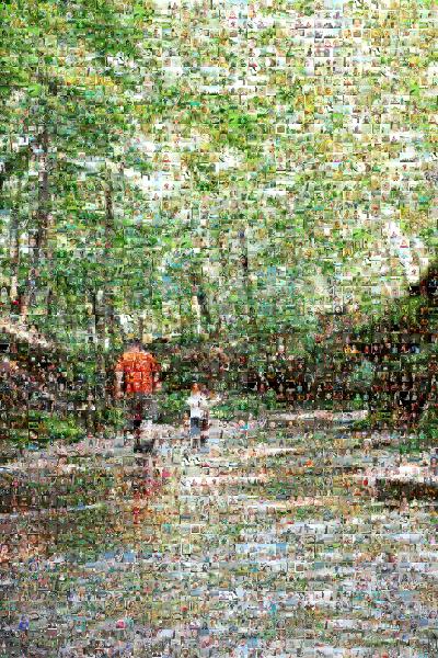 A Walk Through Nature photo mosaic