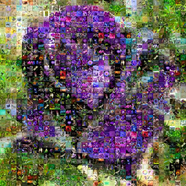 Purple Rose photo mosaic