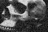 black and white skulls skeleton bones dramatic