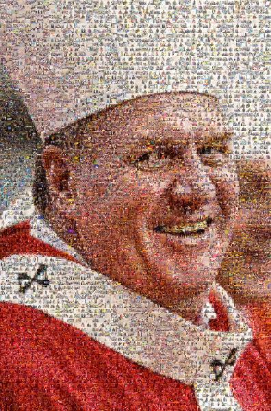 Cardinal photo mosaic