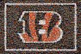 bengals logos football sports fathers dads family families