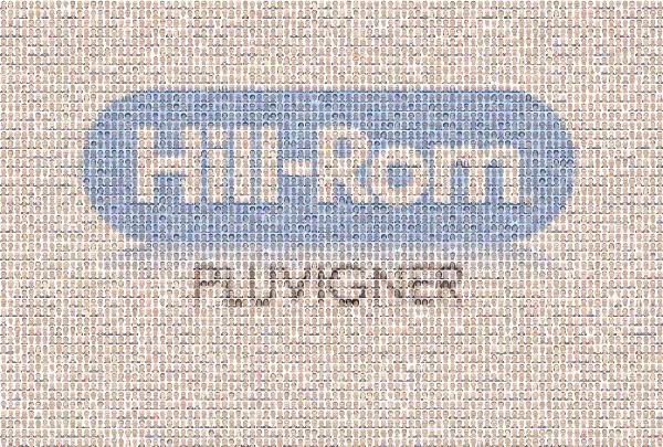 Hill-Rom photo mosaic