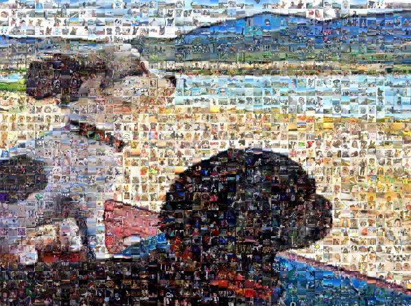 Island Dogs photo mosaic