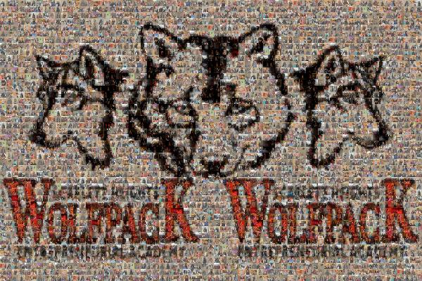 Wolf Pack Academy photo mosaic
