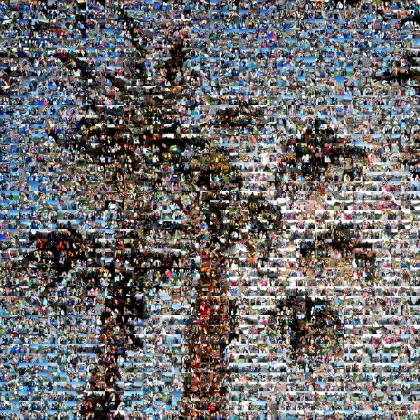 Palm Trees photo mosaic