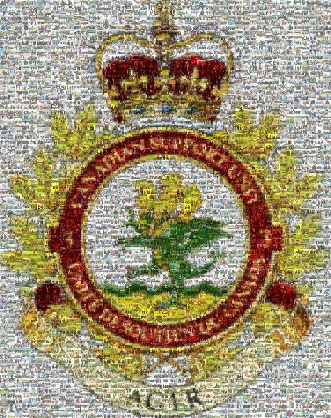 Canadian Support Unit photo mosaic