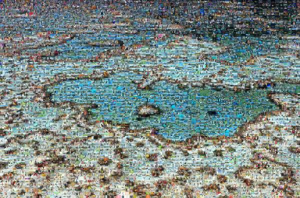 Reef photo mosaic