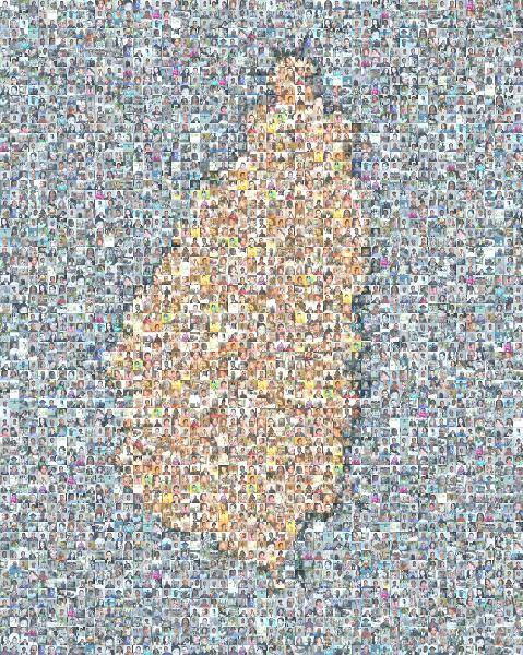 A Map of St. Lucia photo mosaic