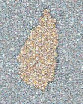 A Map of St. Lucia maps geography locations islands Caribbean countries nations oceans seas lands tropics