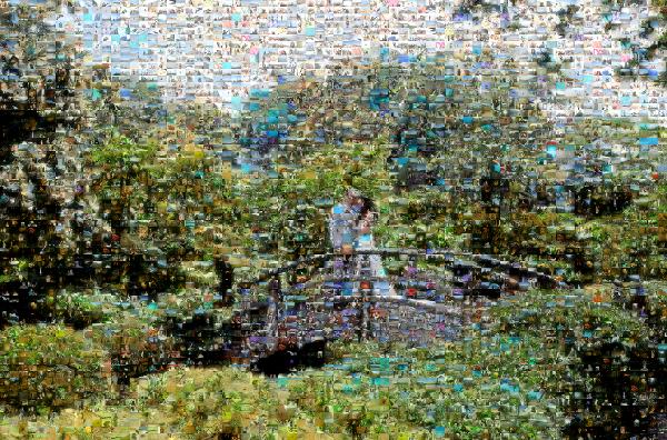 Scenic Wedding Portrait photo mosaic