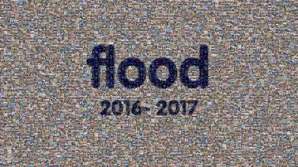 Flood photo mosaic