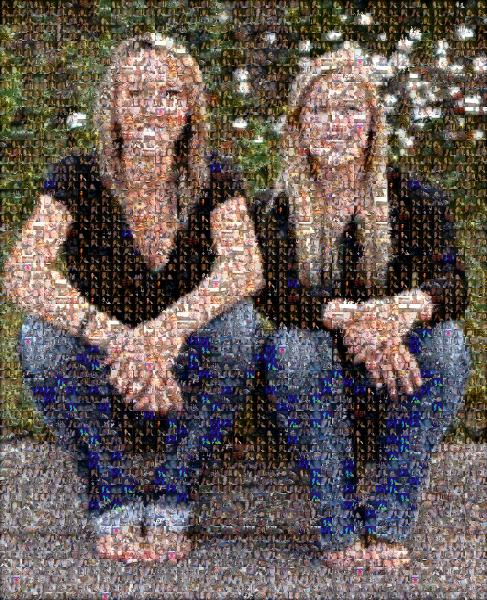 Best Friends  photo mosaic