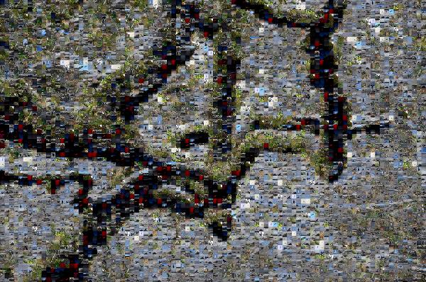 Mossy Tree photo mosaic