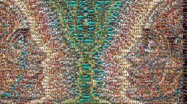 A Goblet Illusion photo mosaic