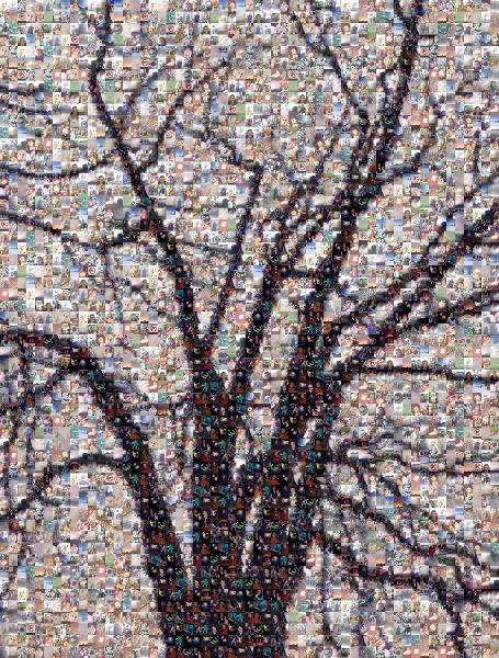 Winter Tree photo mosaic