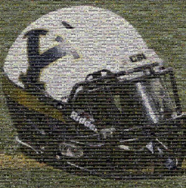 A Football Helmet photo mosaic