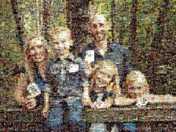 Family Vacation Photo photo mosaic