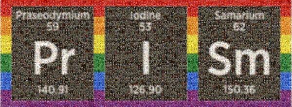 Prism Ally photo mosaic