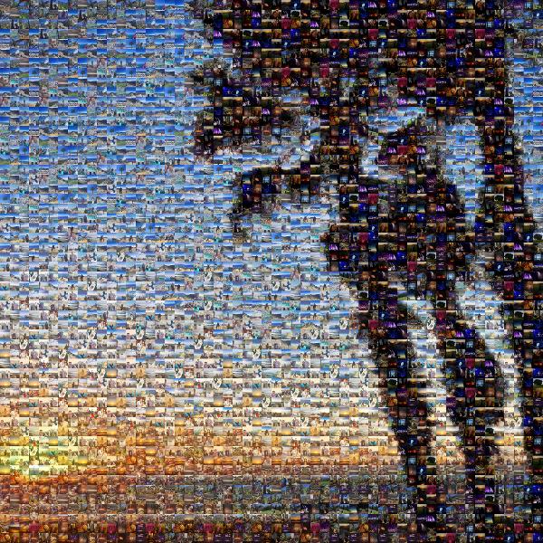 Beach Sunset  photo mosaic