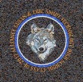 seniors class of 2017 graduates graduation logos symbols pride unity schools words text letters shapes graphics wolf wolves mascots circles classmates