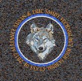 Senior Gift seniors class of 2017 graduates graduation logos symbols pride unity schools words text letters shapes graphics wolf wolves mascots circles classmates