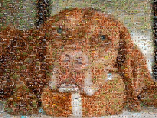 Ginger photo mosaic