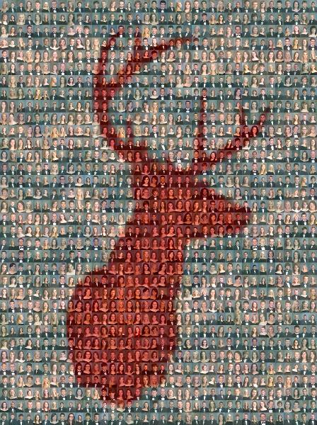 Buck photo mosaic
