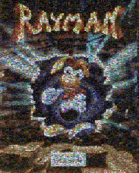 Rayman photo mosaic