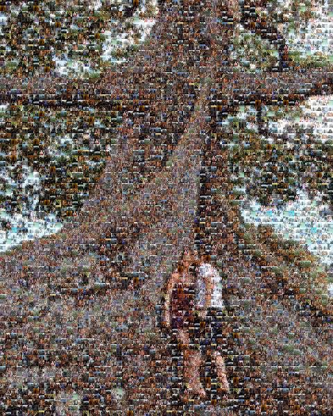 Couple Beneath Tree photo mosaic