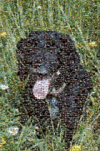 A Happy Pup photo mosaic