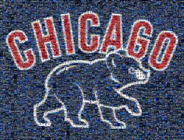 Cubs photo mosaic