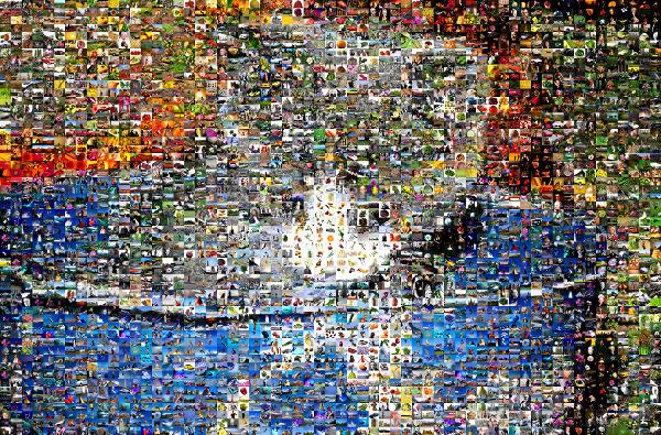 Kitten photo mosaic