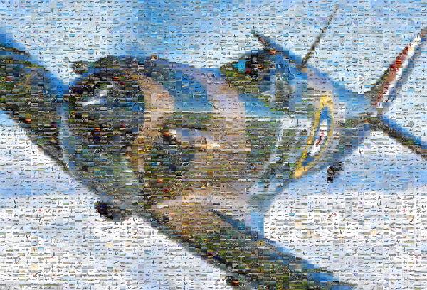 Spitfire photo mosaic