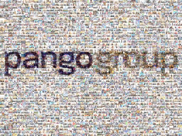 Pango Group photo mosaic