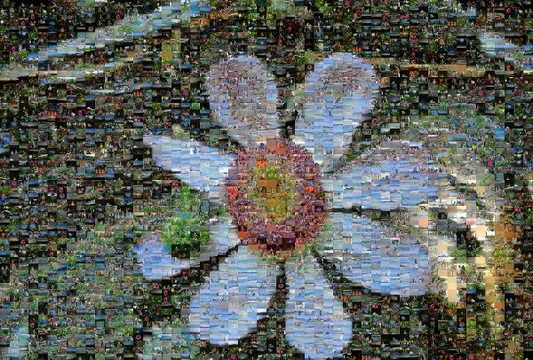 A Large Flower photo mosaic