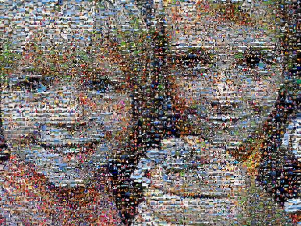 Siblings photo mosaic