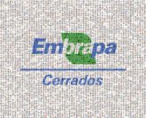 Company Logo company logos graphics letters words text lines shapes corporate employees unity pride