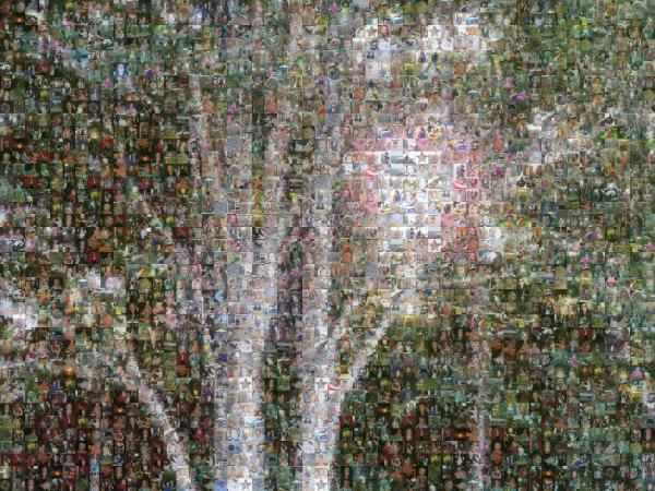 Tree of Life photo mosaic